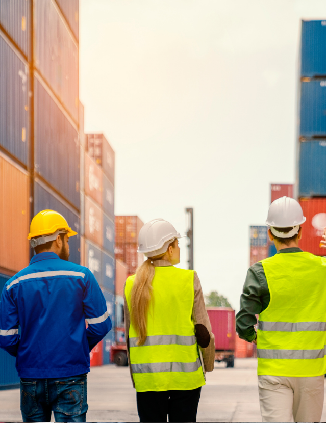 wharehousdistribution services 3